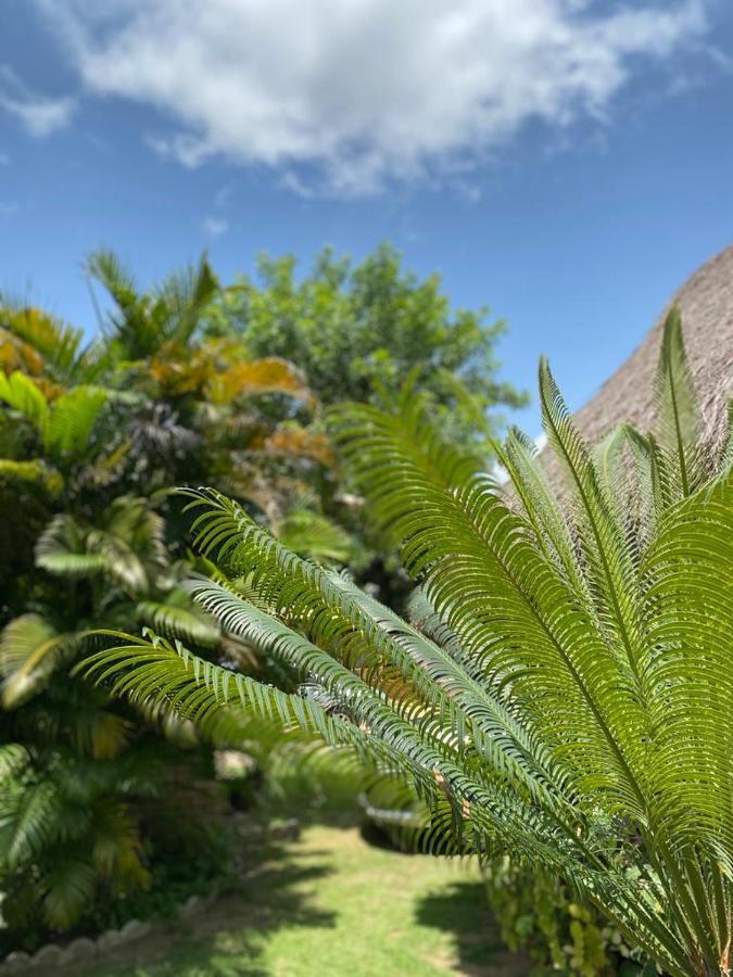 Pousada Porto Mar São Miguel dos Milagres Zewnętrze zdjęcie